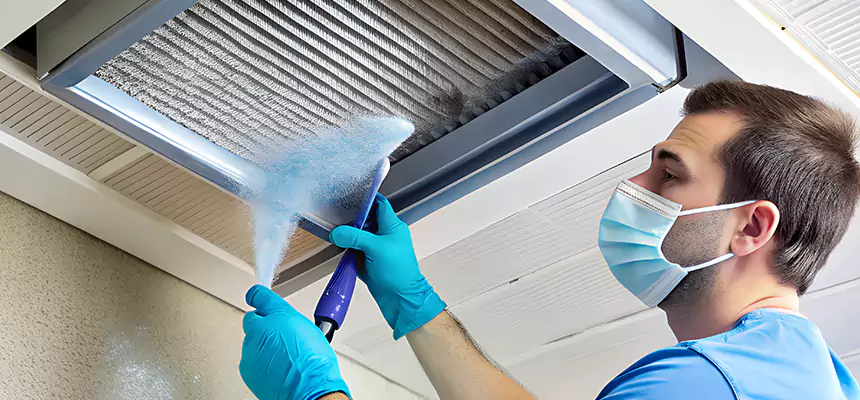 Proactive Dryer Vent & Auxiliary Duct Pollen Cleanup in Valparaiso, IN