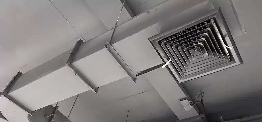 Restorative Allergy Relief Vent Cleaning – Coil, Blower & Housing Detail in Valparaiso