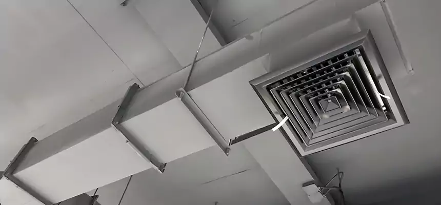 Our Rodent Droppings In Vents Services in Valparaiso, IN