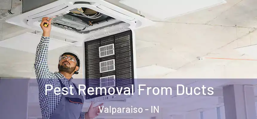 Pest Removal From Ducts Valparaiso - IN