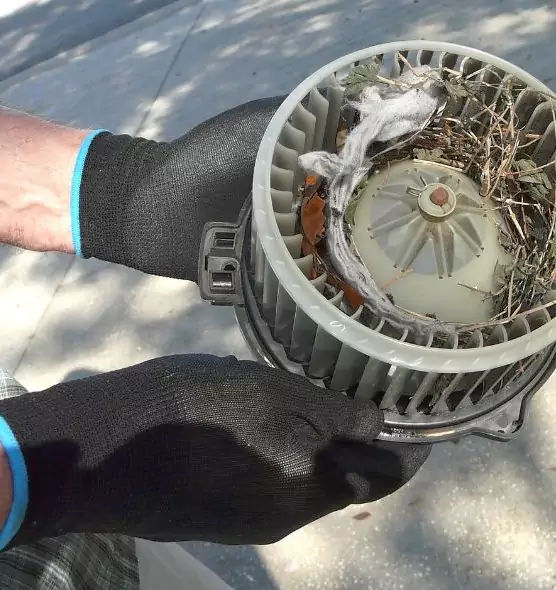 About Air Duct Mice Removal in Valparaiso, IN